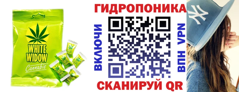 ОМГ ОМГ ONION Пионерский Cannafood конопля
