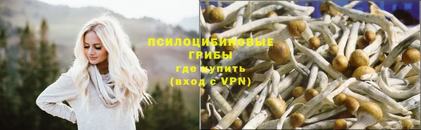 бутик Богданович