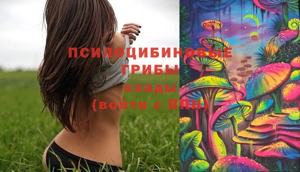 а пвп мука Богородицк