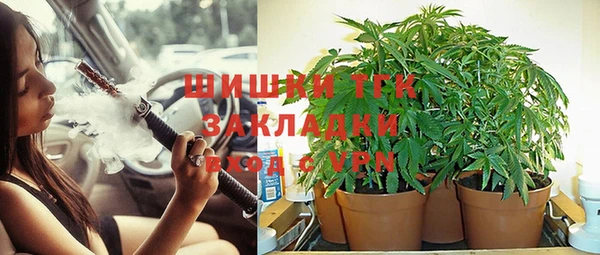 стафф Белокуриха