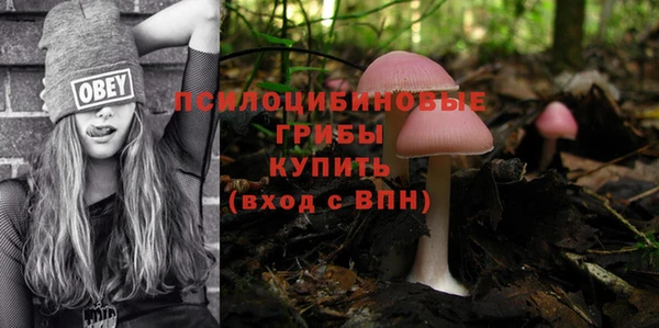 а пвп мука Богородицк