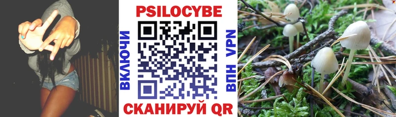 Галлюциногенные грибы MAGIC MUSHROOMS купить наркоту Пионерский